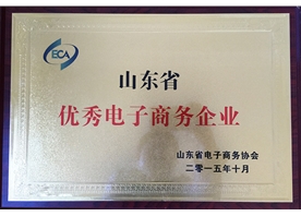山東省優(yōu)秀電子商務企業(yè)