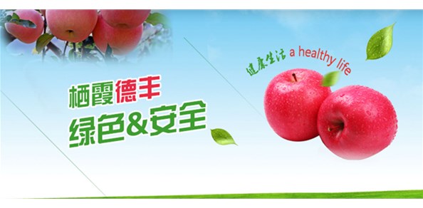 首批農(nóng)業(yè)國際貿(mào)易高質(zhì)量發(fā)展基地名單公布！