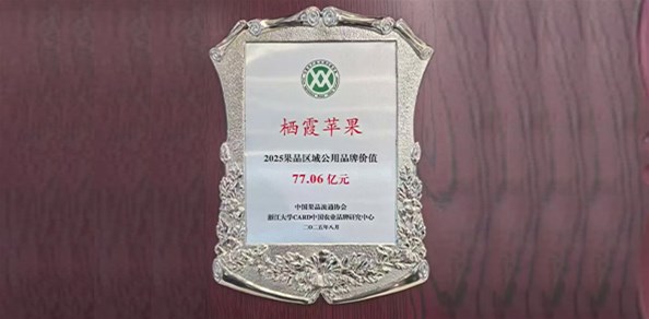77.06億元！“棲霞蘋(píng)果”品牌價(jià)值穩(wěn)居全國(guó)榜首！